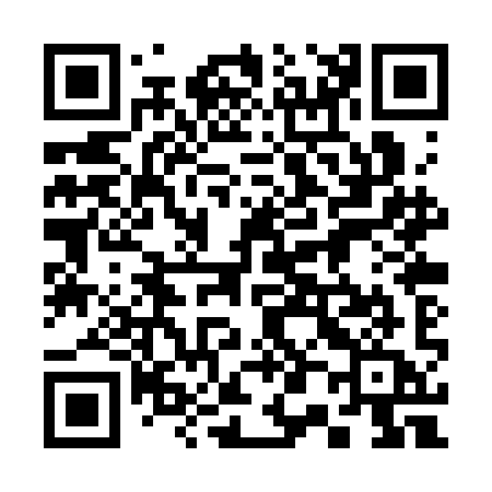 QR code for 300SIA