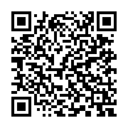QR code for 301DMX