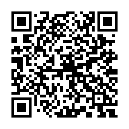 QR code for 302PDI
