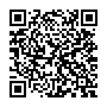 QR code for 302TZI