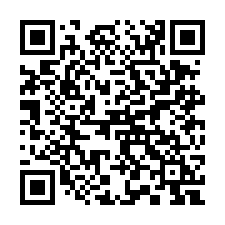 QR code for 303DGI