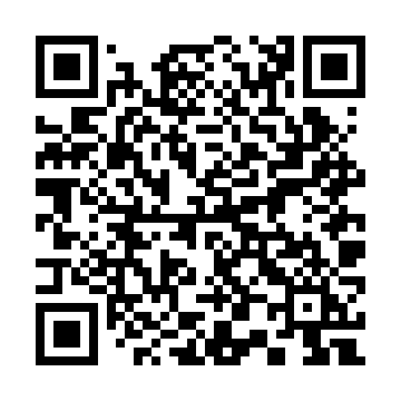QR code for 306BZI