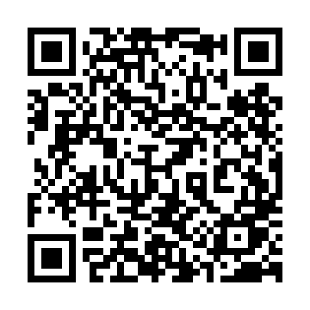 QR code for 311DLU