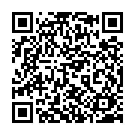 QR code for 311ESO
