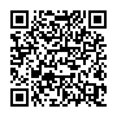 QR code for 311ILA