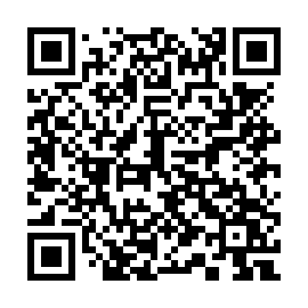 QR code for 311NTW