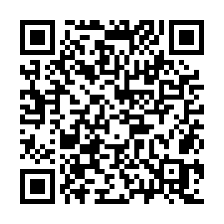 QR code for 311POC