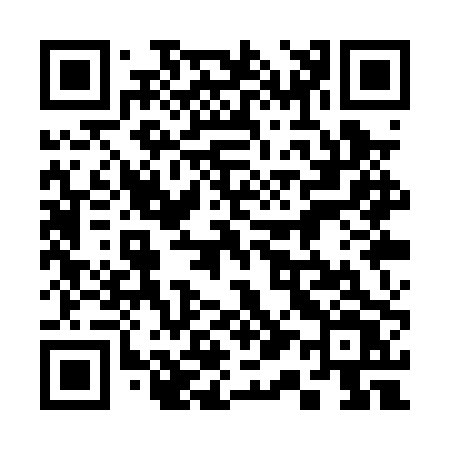 QR code for 311PPV