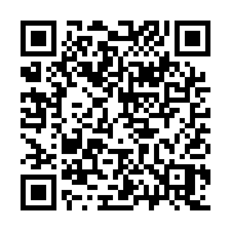 QR code for 311QAP