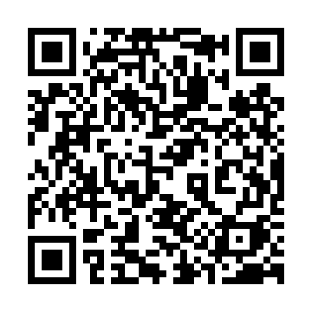 QR code for 311TWI