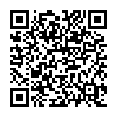 QR code for 311XJD
