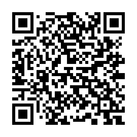 QR code for 311ZEG