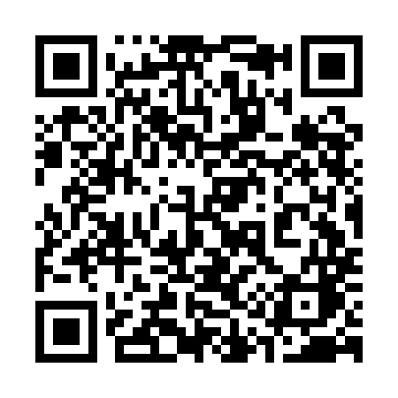 QR code for 313AMC