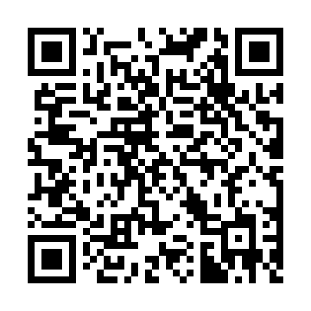 QR code for 313APJ
