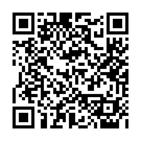 QR code for 313GEI