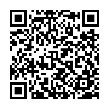 QR code for 313GIR