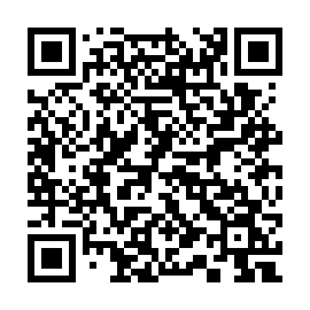 QR code for 313GVN
