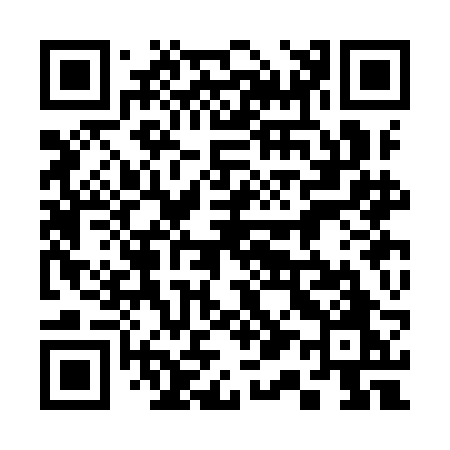 QR code for 313IBO