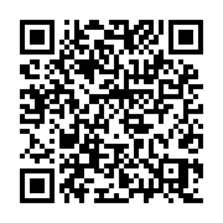 QR code for 313IDQ