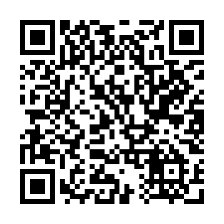 QR code for 313IOM