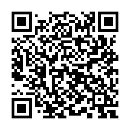 QR code for 313IXI