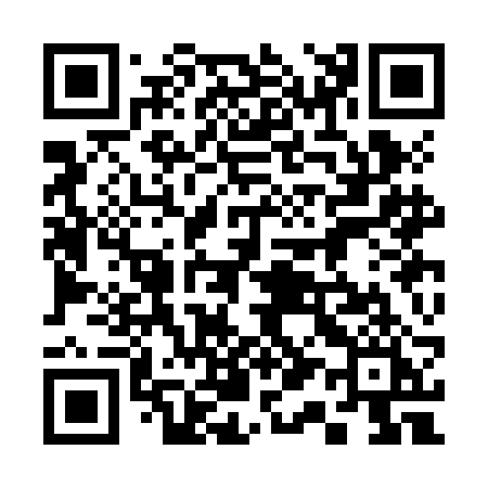 QR code for 313JBI
