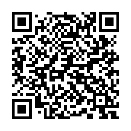 QR code for 313JHI