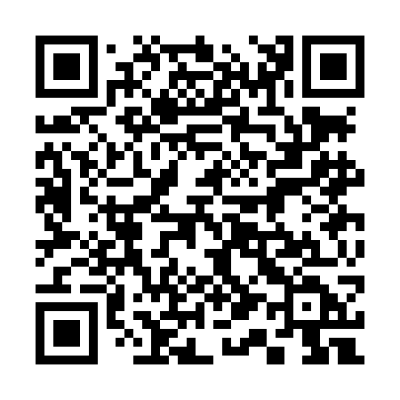 QR code for 313LGD