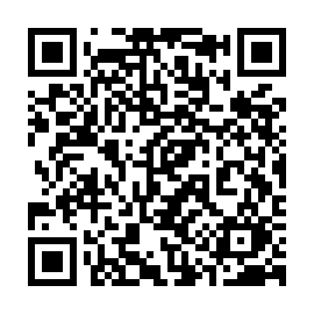 QR code for 313MCO