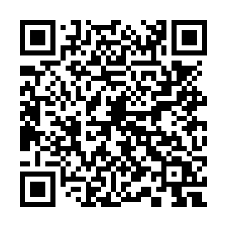 QR code for 313NZT