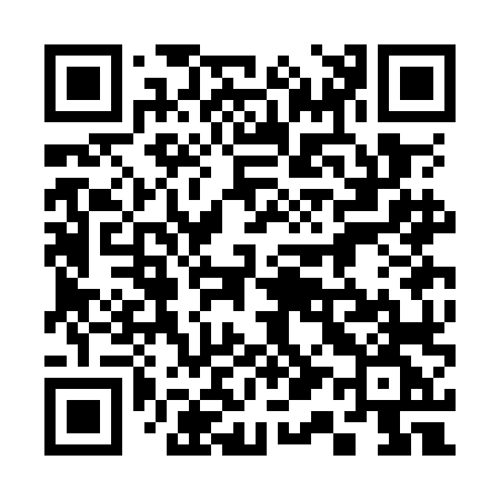QR code for 313OLG