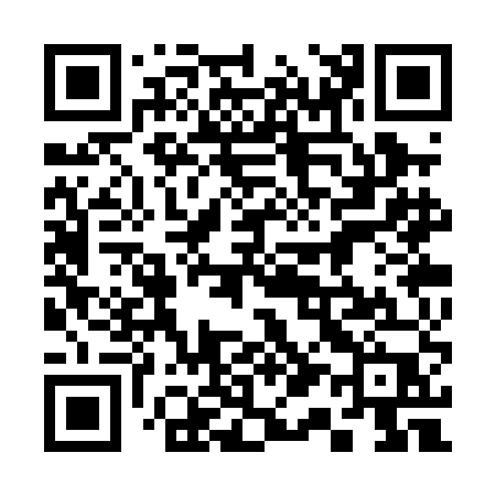QR code for 313PEP