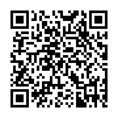 QR code for 313QSH