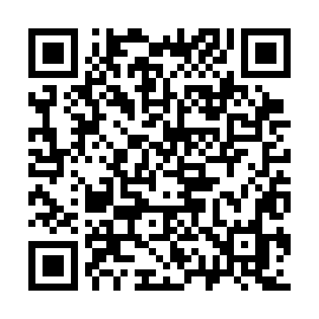 QR code for 313SLO
