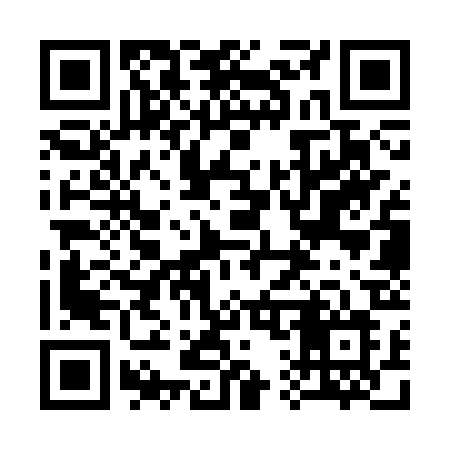 QR code for 313SRL