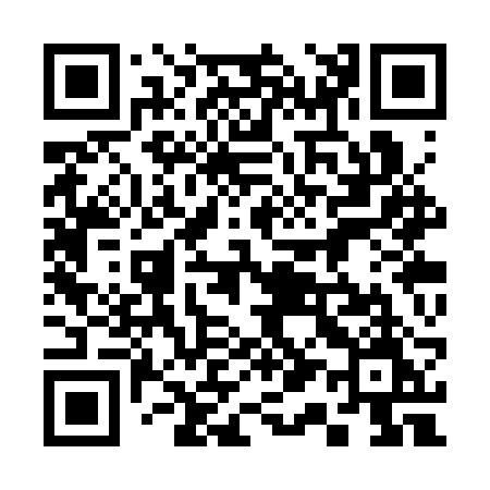 QR code for 313SRM