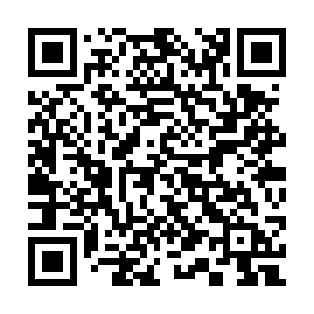 QR code for 313TSB