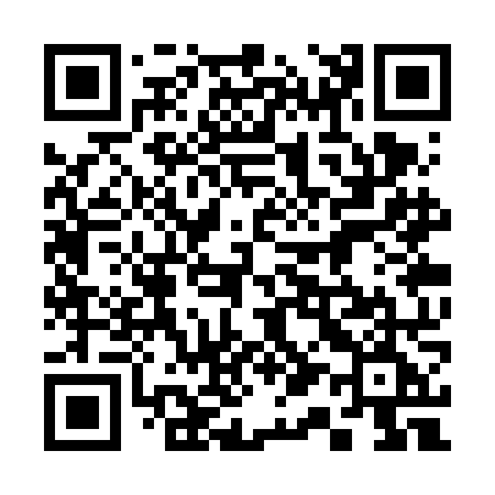 QR code for 313VNE