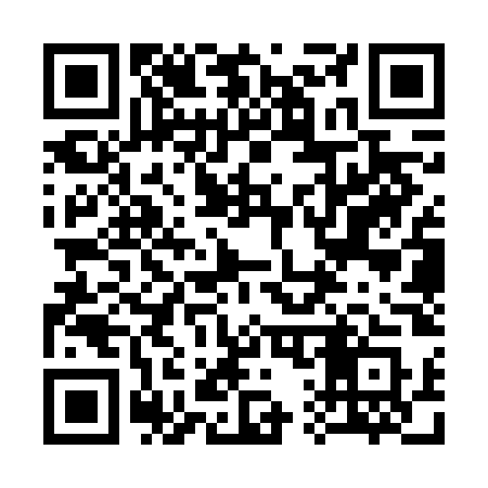 QR code for 313VOS