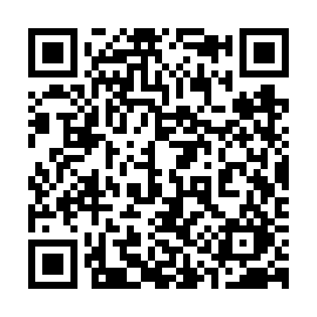 QR code for 313VRO