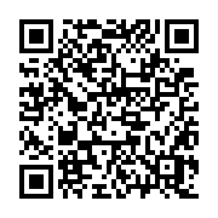QR code for 313WLV