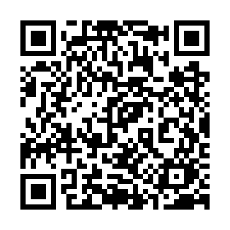 QR code for 313WWO