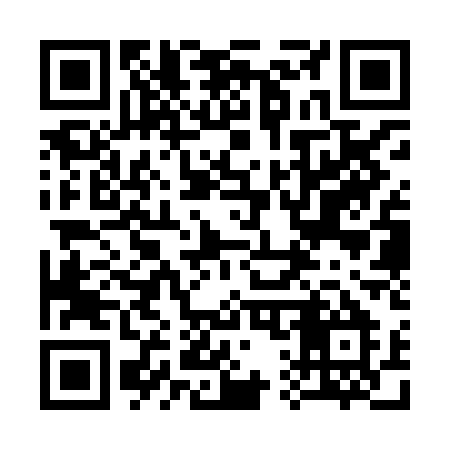 QR code for 313XAM