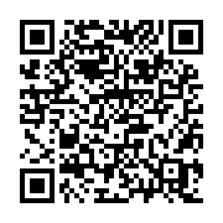 QR code for 313YNB