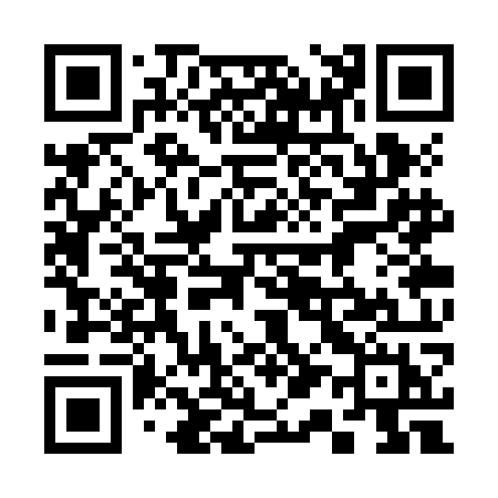 QR code for 313ZOH