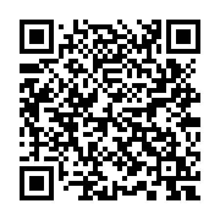 QR code for 313ZQU
