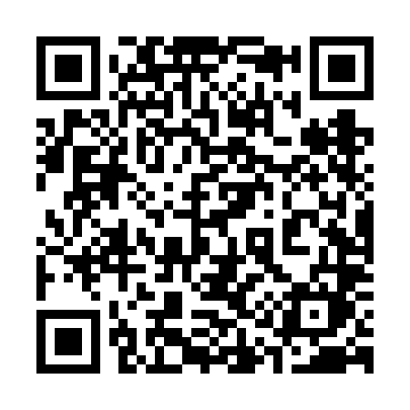 QR code for 314VLM
