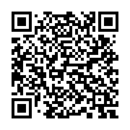 QR code for 317FPX