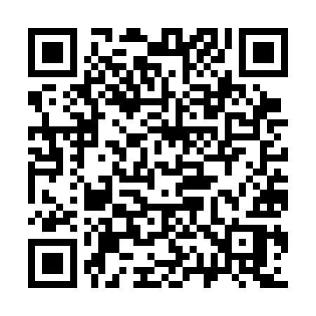 QR code for 317SIR