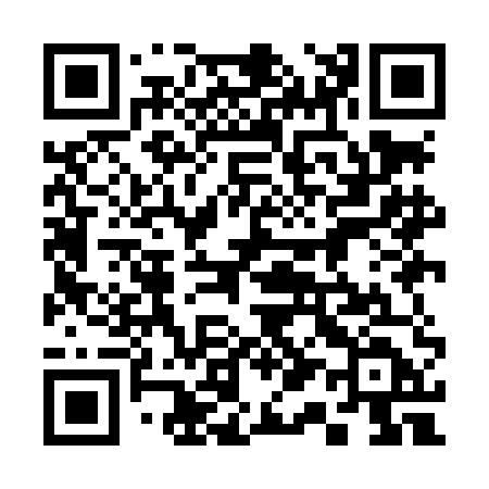 QR code for 319LED